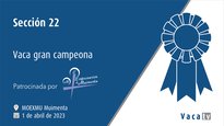 Sección 22. Vaca gran campeona