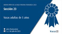 Vacas adultas de 5 años