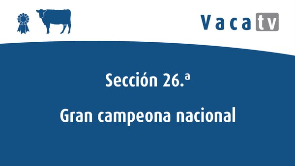 Vaca gran campeona nacional