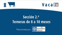 Sección 2. Terneras de 8 a 10 meses
