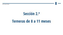 Terneras de 8 a 11 meses