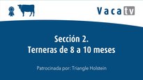 Sección 2. Terneras de 8 a 10 meses