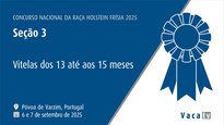 Terneras de 13 a 15 meses