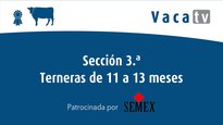 Sección 3. Terneras de 11 a 13 meses