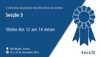 Terneras de 12 a 14 meses