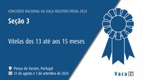 Terneras de 13 a 15 meses