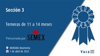 Sección 3. Terneras de 11 a 14 meses