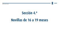 Xovencas de 16 a 19 meses