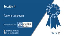 Sección 4. Ternera campeona