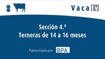 Sección 4. Terneras de 14 a 16 meses