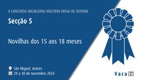 Novillas de 15 a 18 meses