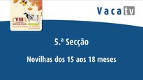 Novillas de 15 a 18 meses