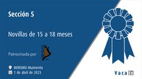 Sección 5. Novillas de 15 a 18 meses