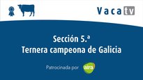 Sección 5. Ternera campeona de Galicia