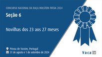 Novillas de 23 a 27 meses
