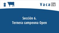 Sección 6. Ternera campeona Open Feiradeza 2022