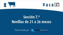 Sección 7. Novillas de 21 a 26 meses
