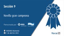 Sección 9. Novilla gran campeona