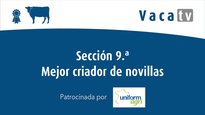 Sección 9. Mejor criador de novillas