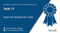Vacas en lactación de 4 anos