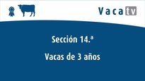 Sección 14. Vaca intermedia lactación 3 años
