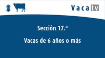 Sección 17. Vaca adulta lactación de 6 años o más