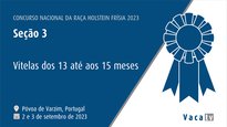 Xatas de 13 a 15 meses