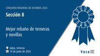 Sección 8: Mellor rabaño de xatas e xovencas