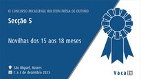 Xovencas de 15 a 18 meses