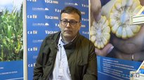 Entrevista a Julio Pérez, de la Fundación Semana Verde