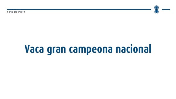 Vaca Gran Campiona
