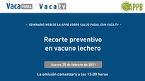 Recorte preventivo en vacún leiteiro